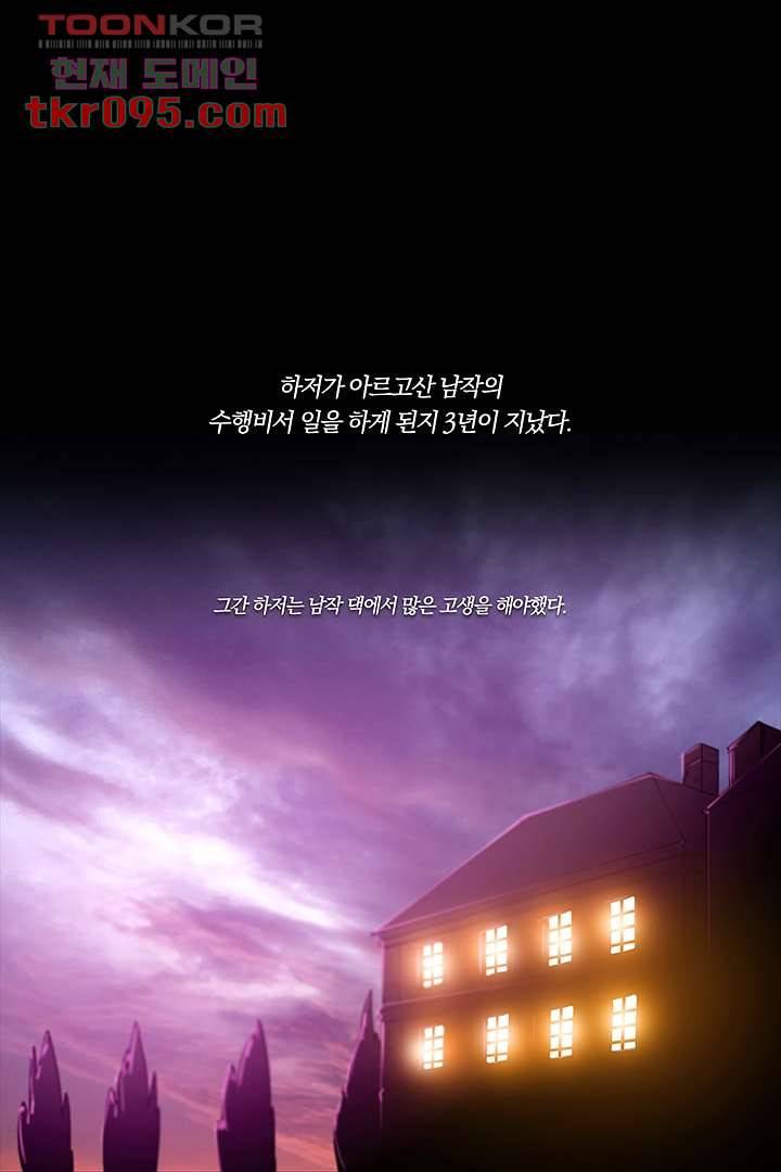 초상화 26.5 27