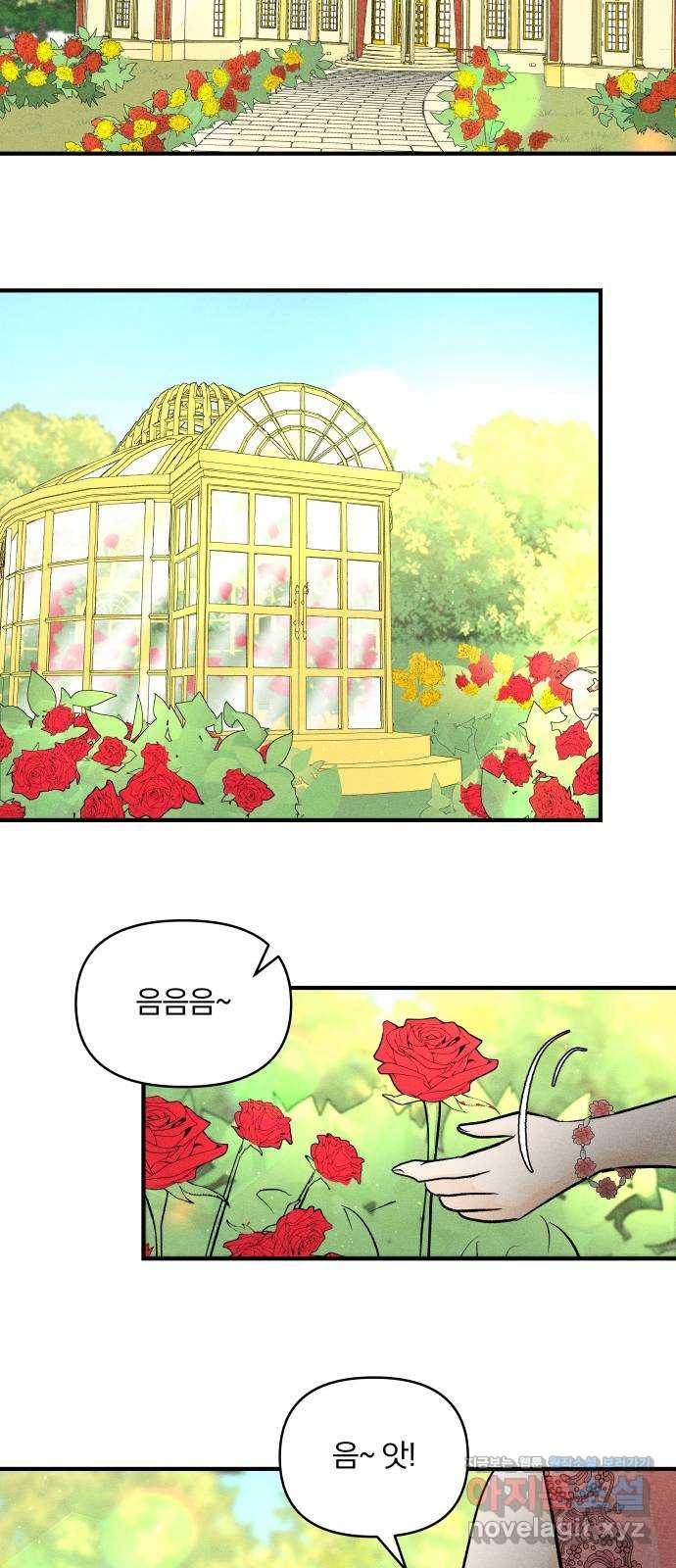 사막에 핀 달 54. 목적과 목표(1) 34