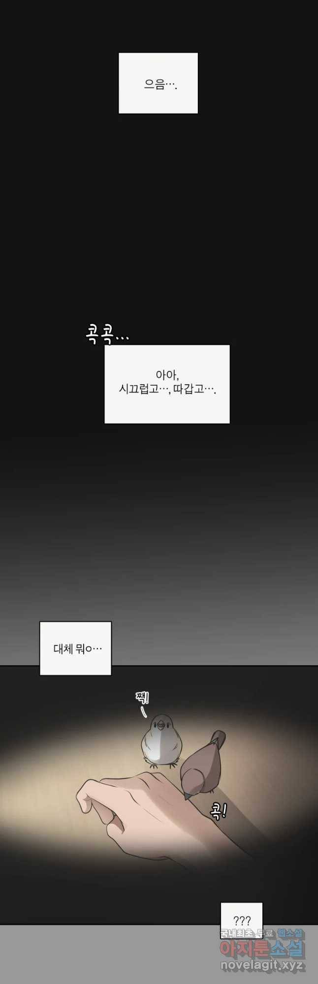 그녀의 앵무새 91화 새 삶(1) 58