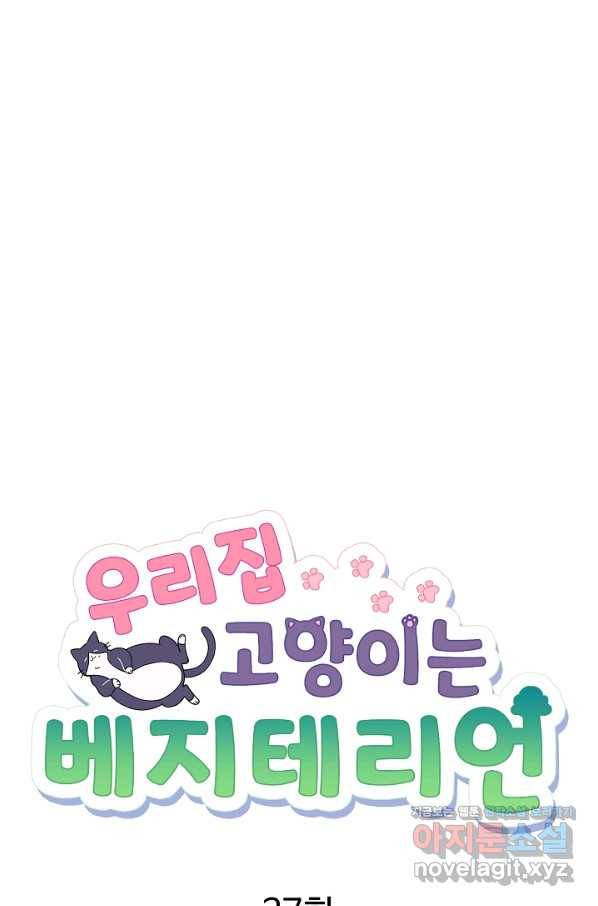 우리집 고양이는 베지테리언 27화 가만히 다가온 행복 5