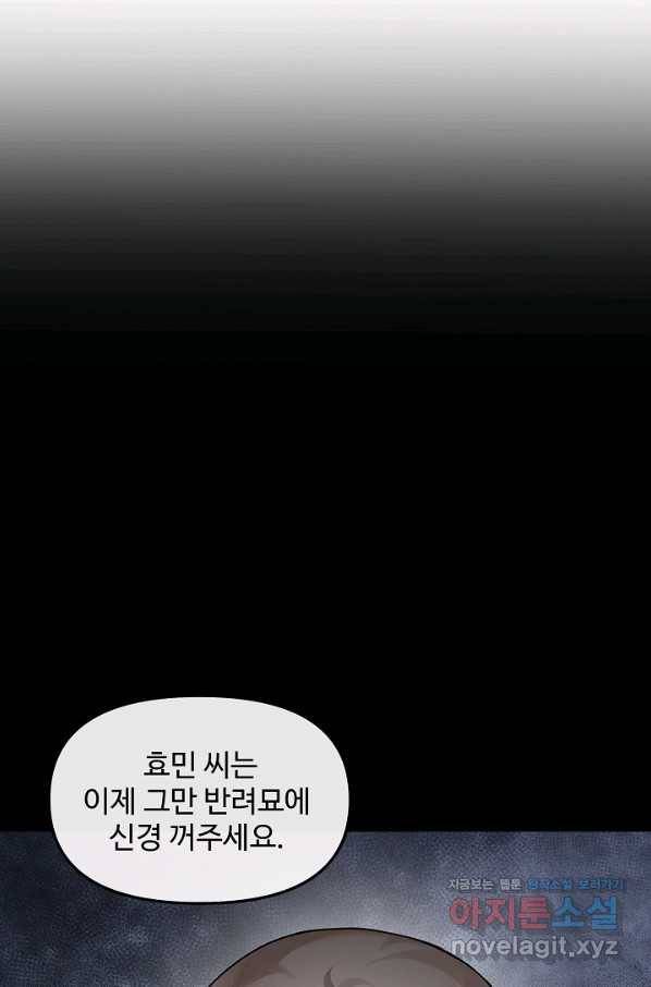 우리집 고양이는 베지테리언 27화 가만히 다가온 행복 9