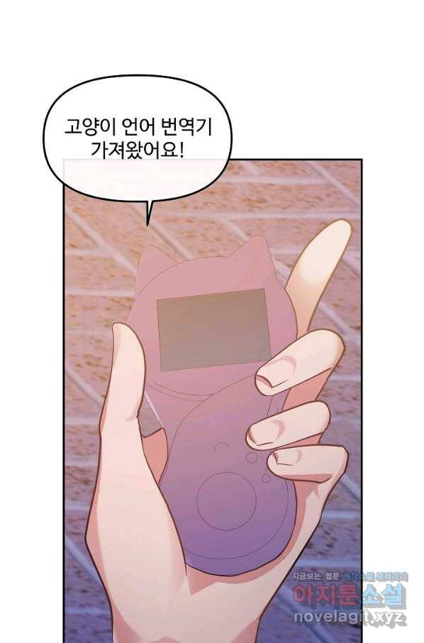 우리집 고양이는 베지테리언 27화 가만히 다가온 행복 44