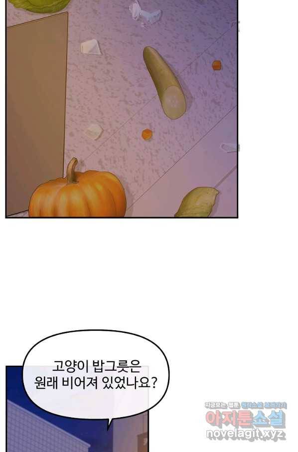 우리집 고양이는 베지테리언 28화 범인이 훔쳐간 것 8