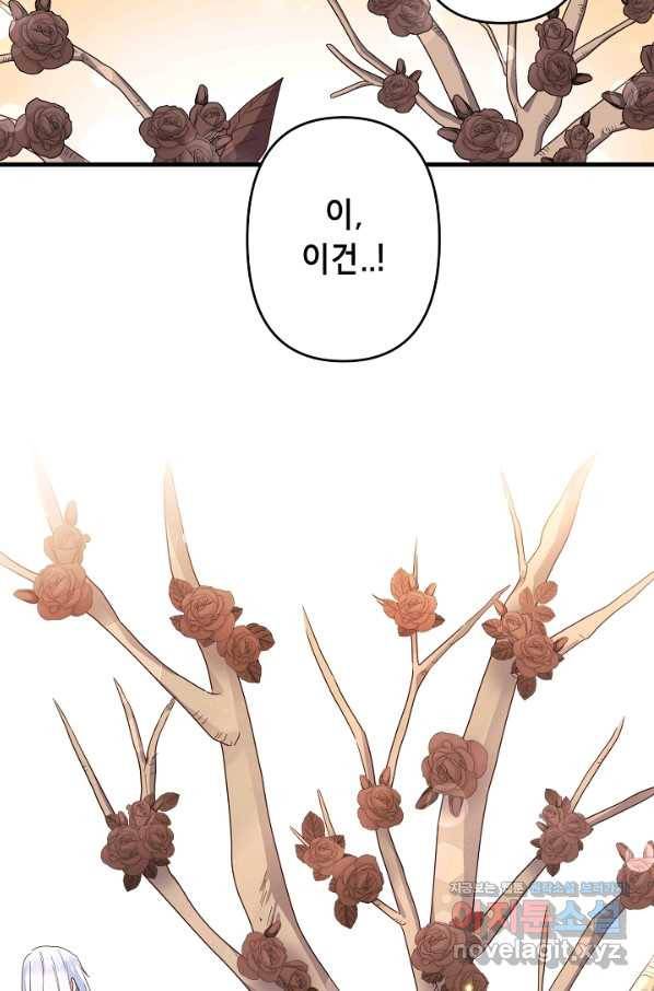 마법사를 위한 동화 25화 34