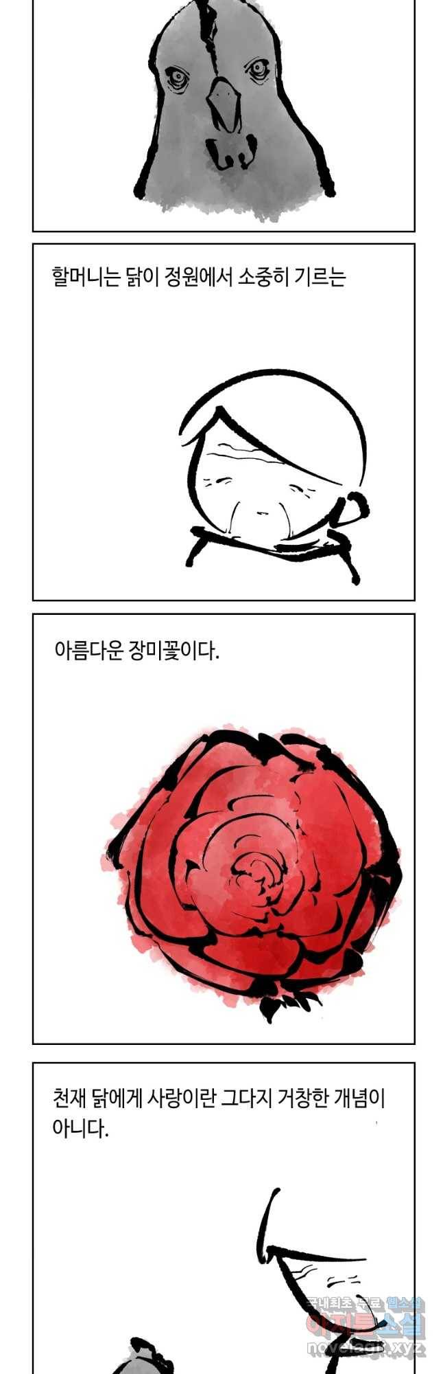 닭은 의외로 위대하다 3. 누구냐 넌 1 13