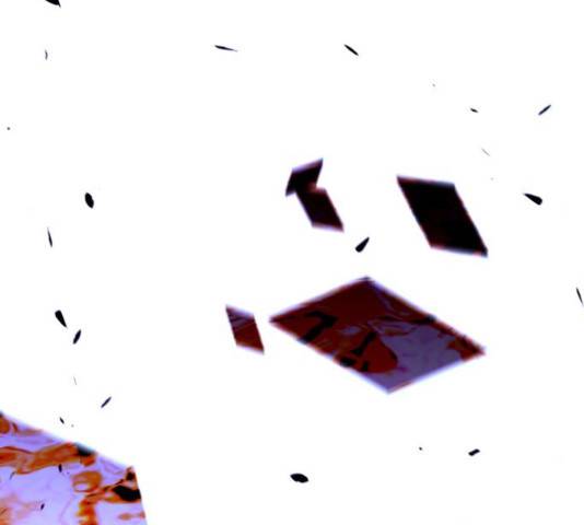 트럼프 트럼프 121화 53