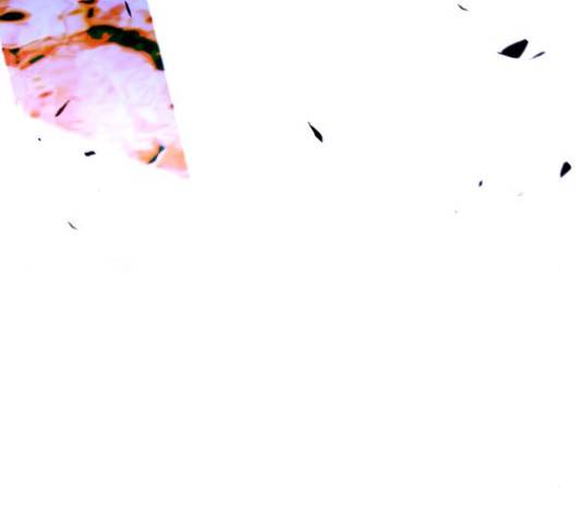 트럼프 트럼프 121화 54