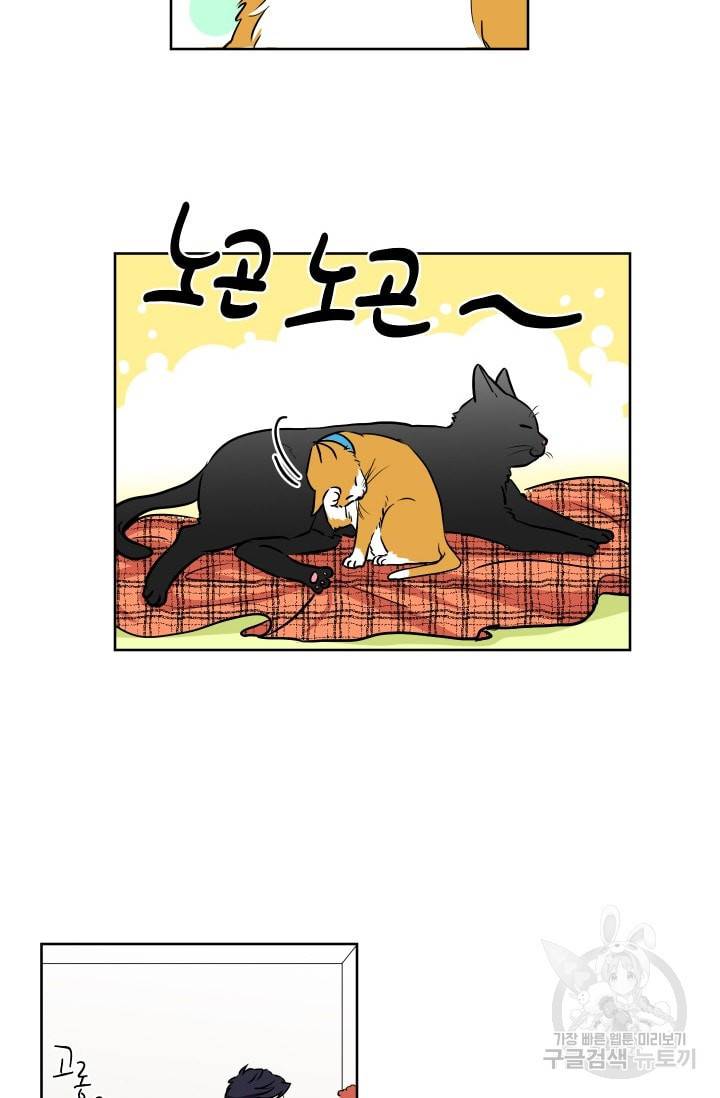 귀여운 야수님 46화 3
