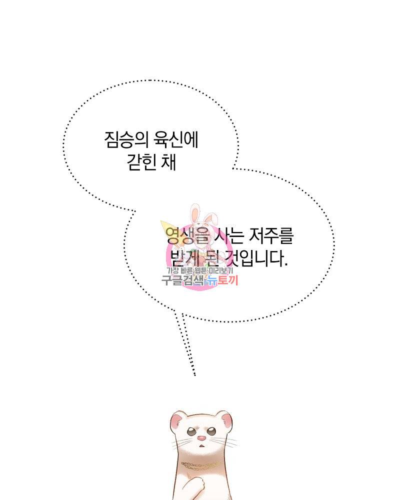 흰 족제비 양에게 죽음을! 28화 1
