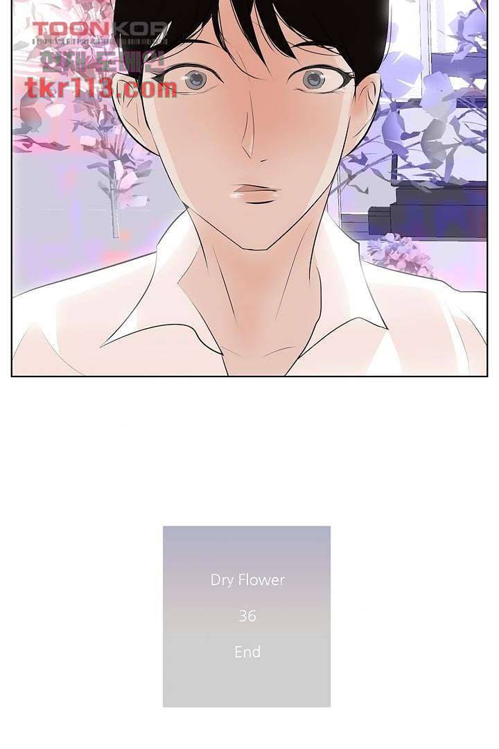 드라이 플라워 (Dry flower) 36화 43
