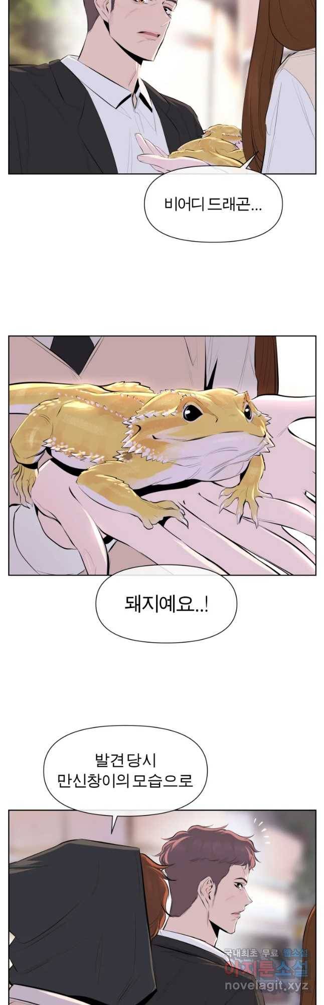 케어시트 36화 준 11