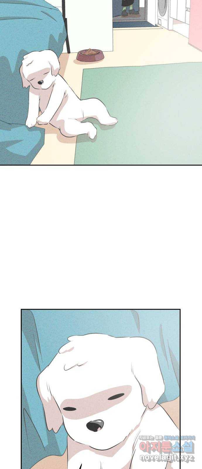 개와 사람의 시간 4화 35