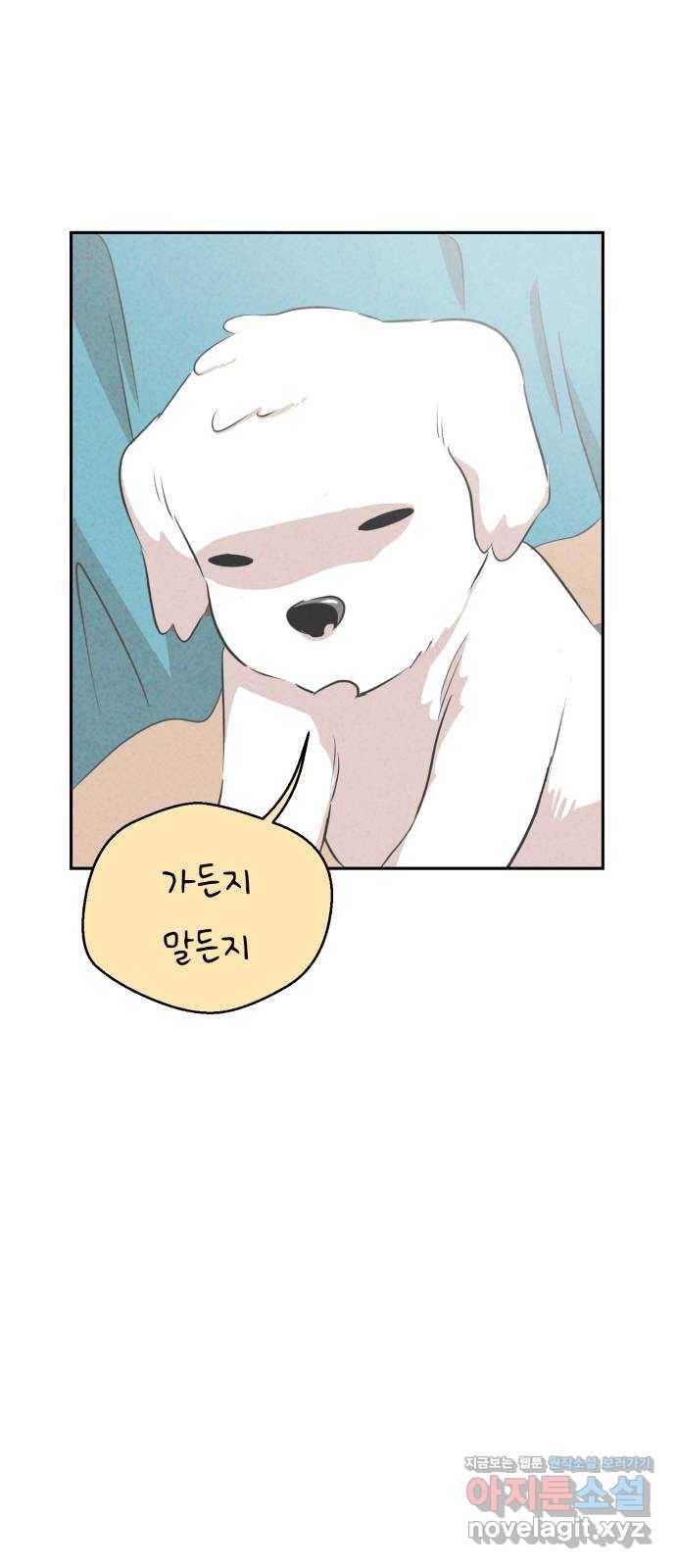 개와 사람의 시간 4화 37
