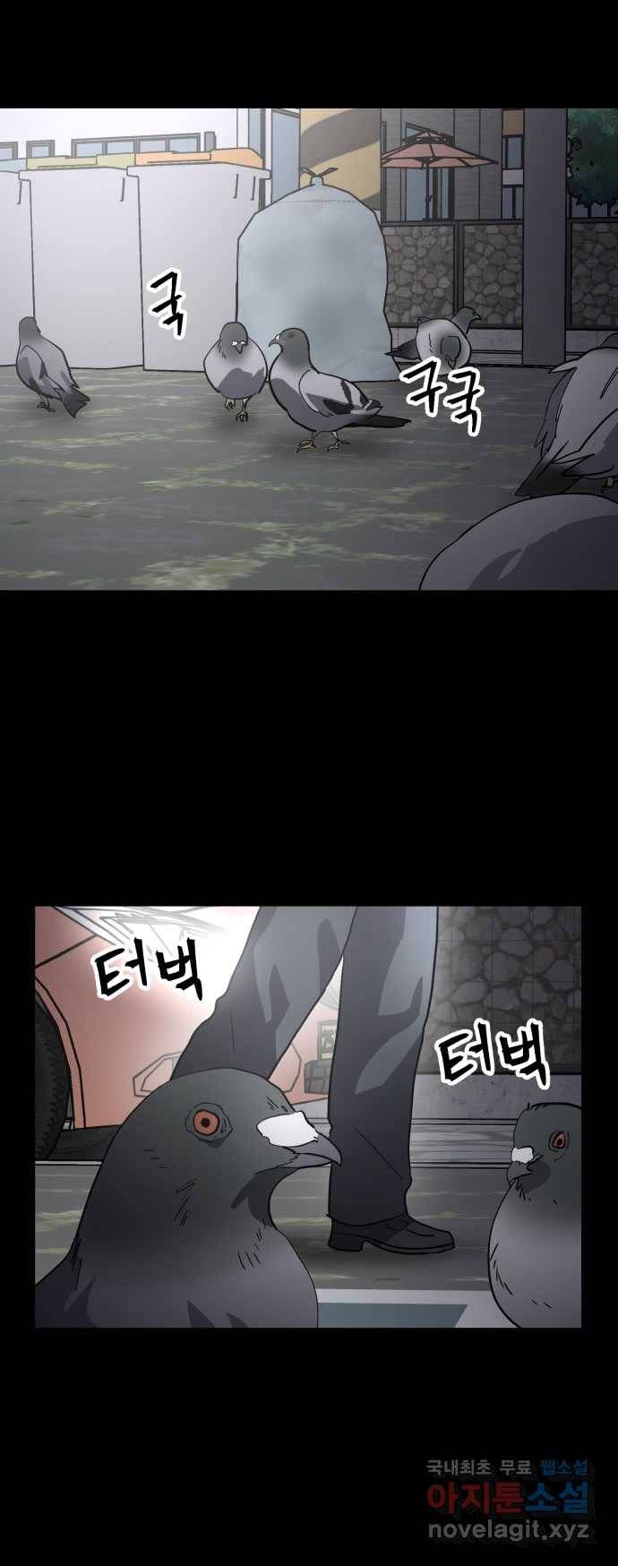 2022 스크롤금지 03.비둘기 - 후드새 작가 2