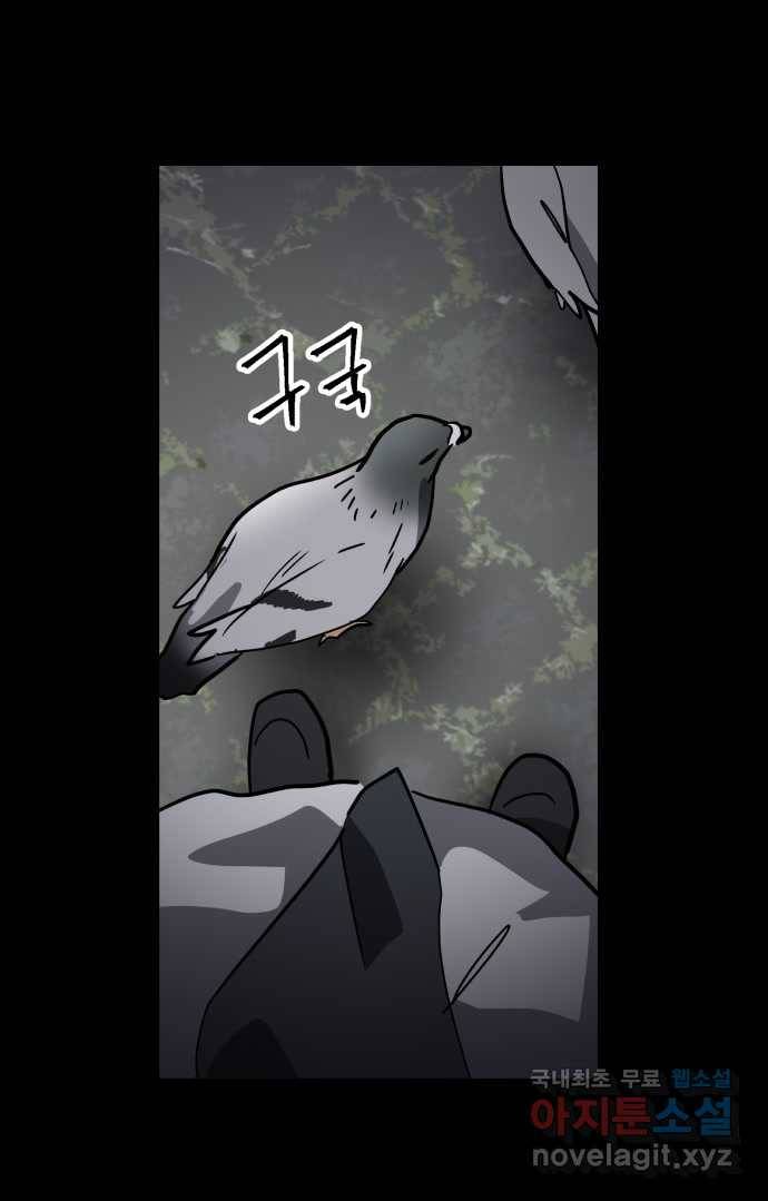 2022 스크롤금지 03.비둘기 - 후드새 작가 6