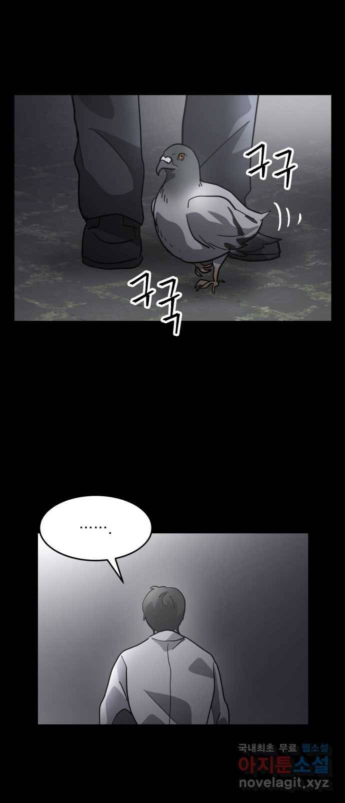 2022 스크롤금지 03.비둘기 - 후드새 작가 8