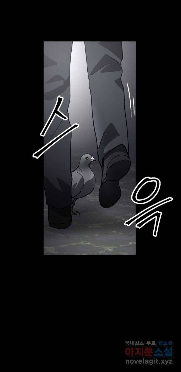 2022 스크롤금지 03.비둘기 - 후드새 작가 9