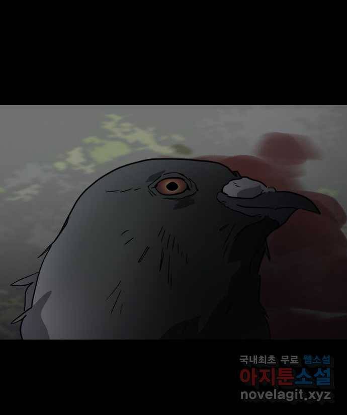 2022 스크롤금지 03.비둘기 - 후드새 작가 13