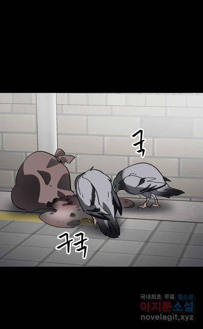 2022 스크롤금지 03.비둘기 - 후드새 작가 53