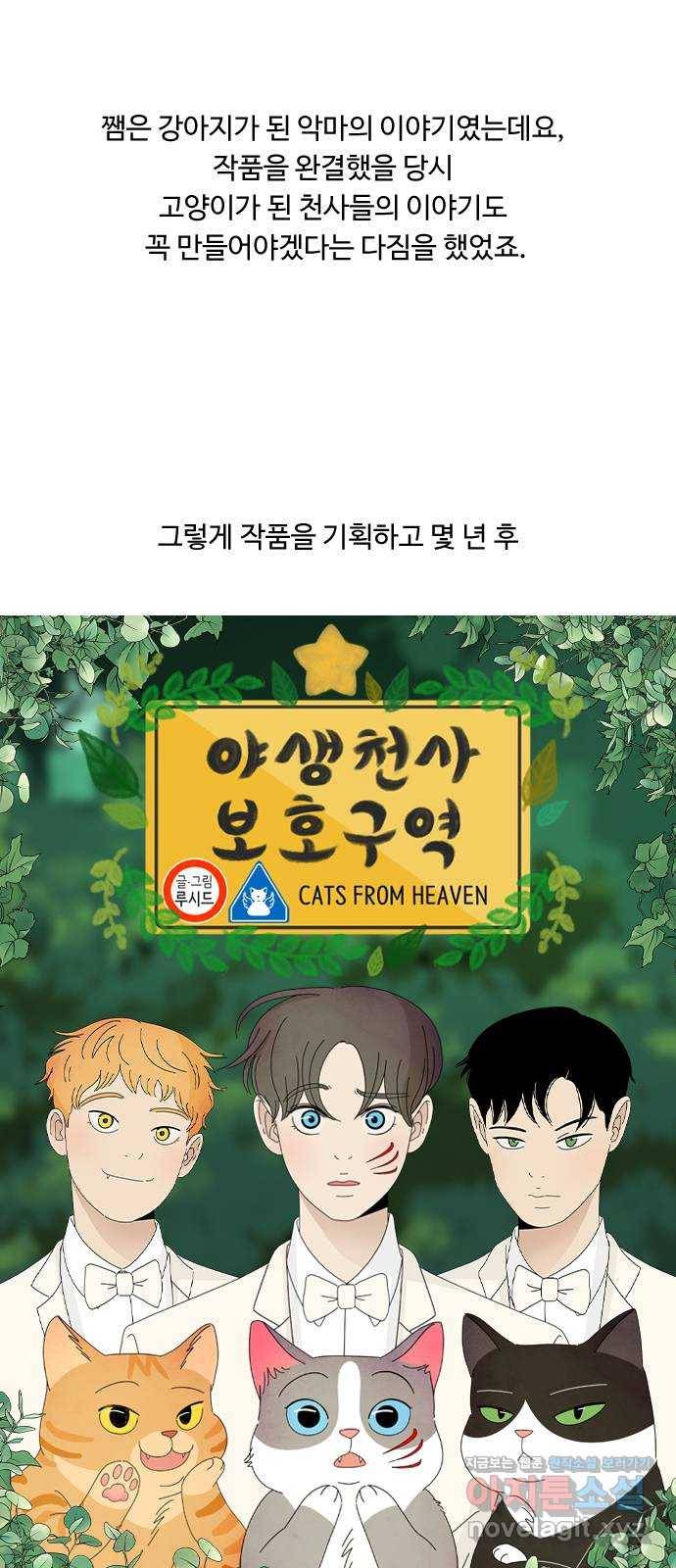 야생천사 보호구역 후기 2