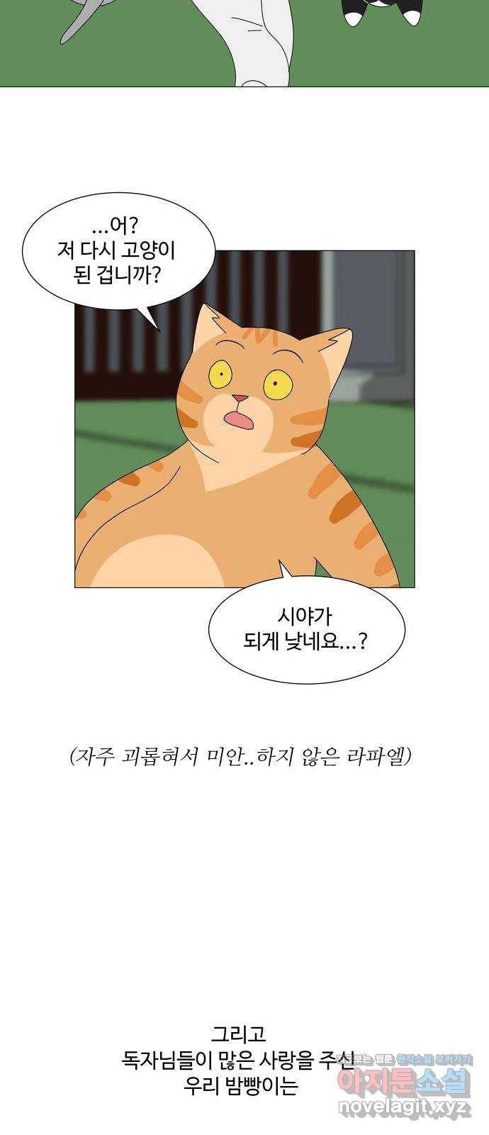 야생천사 보호구역 후기 10