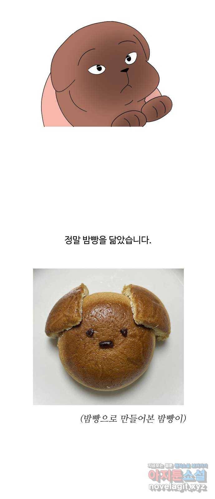 야생천사 보호구역 후기 11