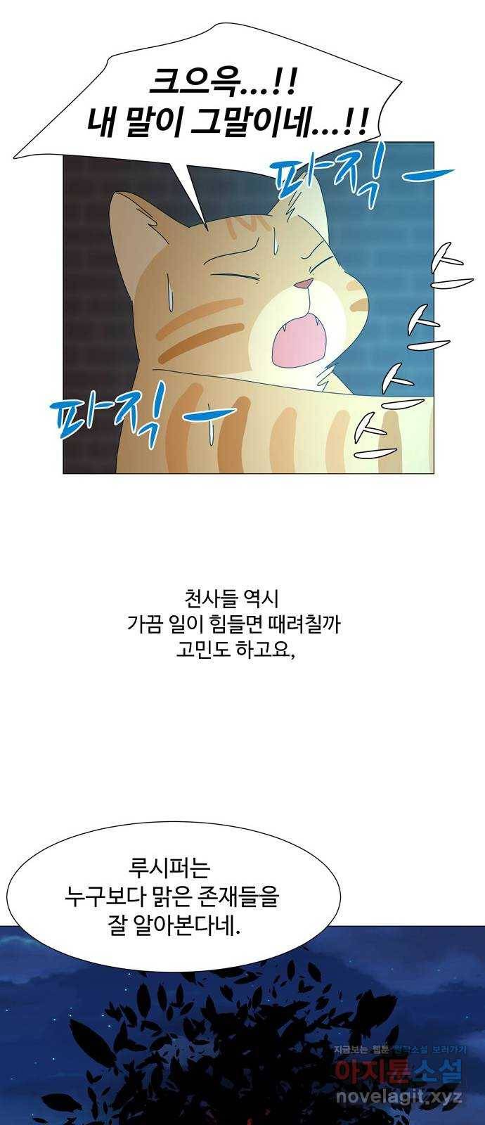 야생천사 보호구역 후기 16