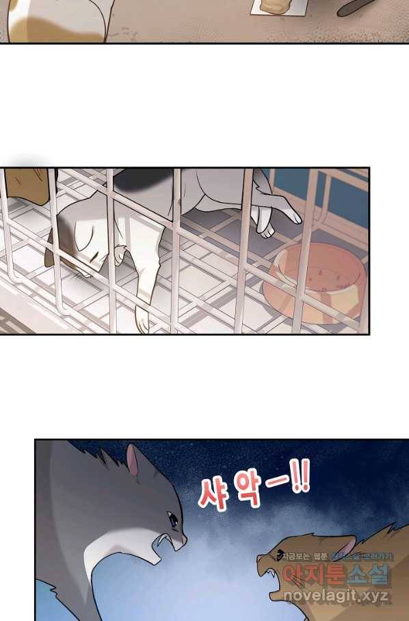 우리집 고양이는 베지테리언 43화 쓸모없는 것들 5