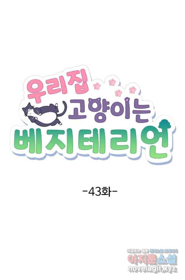 우리집 고양이는 베지테리언 43화 쓸모없는 것들 20