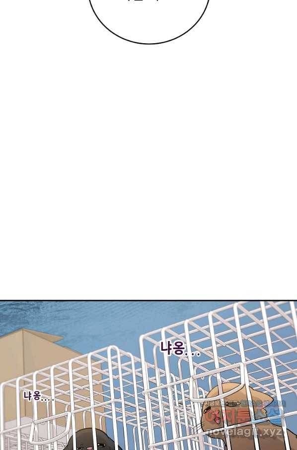 우리집 고양이는 베지테리언 43화 쓸모없는 것들 43