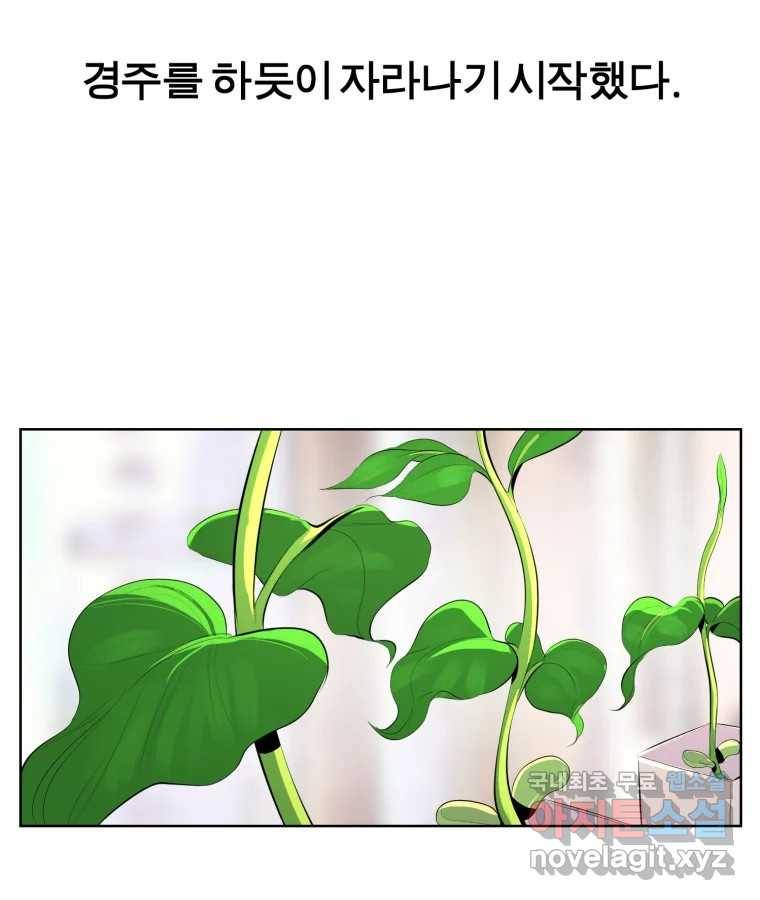 케어시트 47화 강낭콩 15