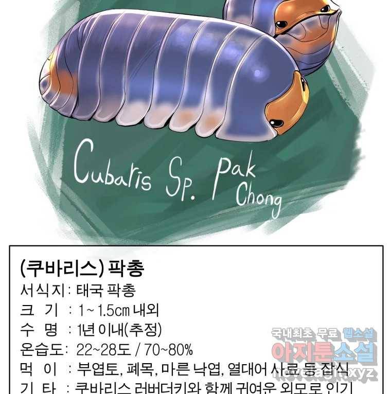케어시트 47화 강낭콩 85