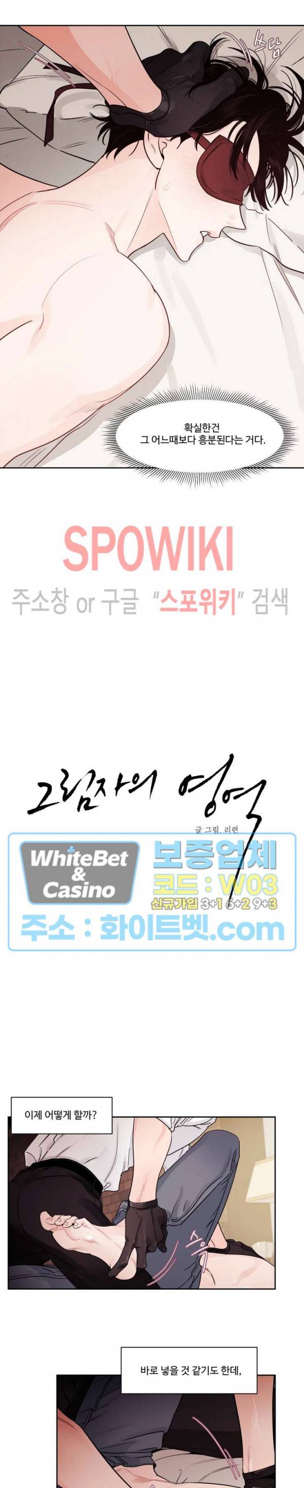 그림자의 영역 11화 2