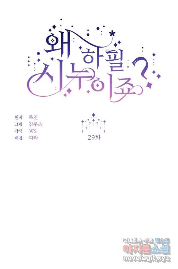 왜 하필 시누이죠 29화 11
