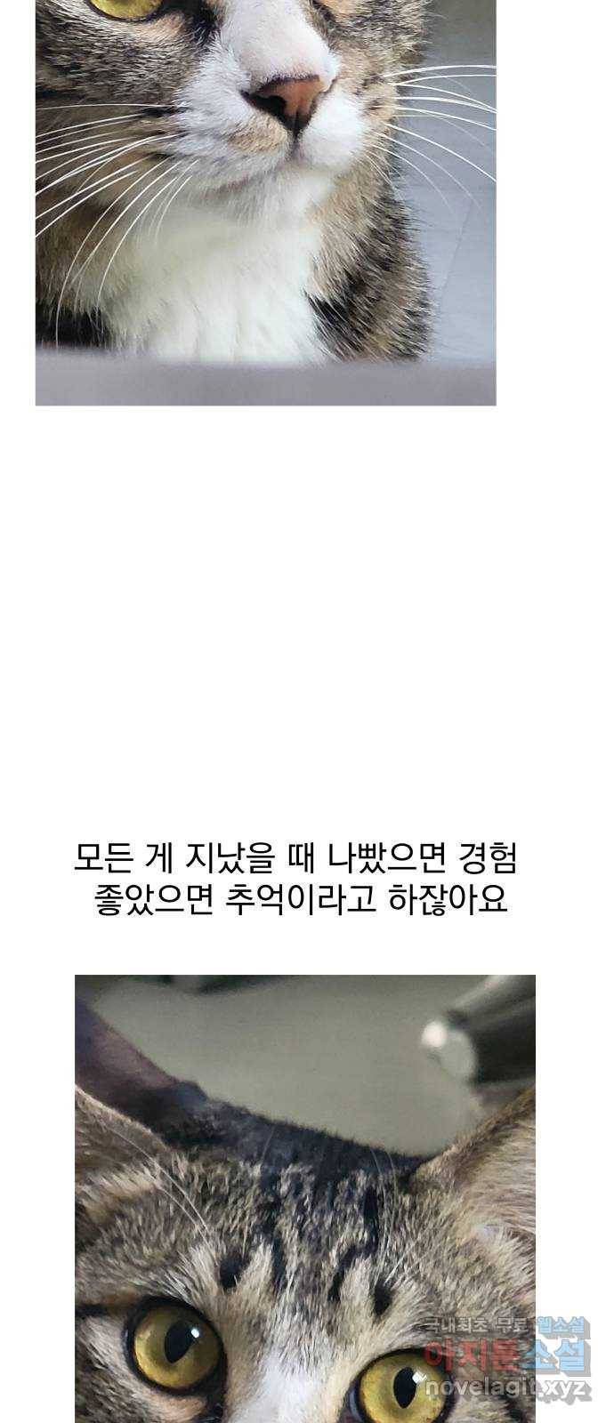 왕따협상 후기 28