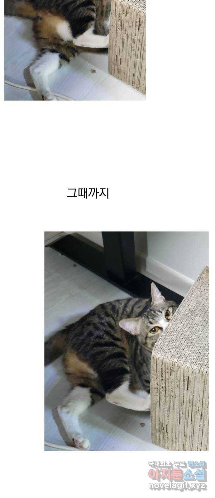 왕따협상 후기 30