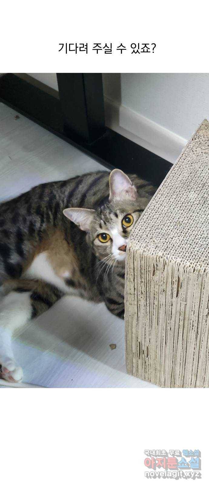 왕따협상 후기 31