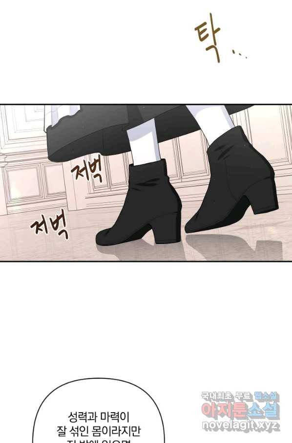 TL 소설 속 시녀가 되었습니다 71화 46