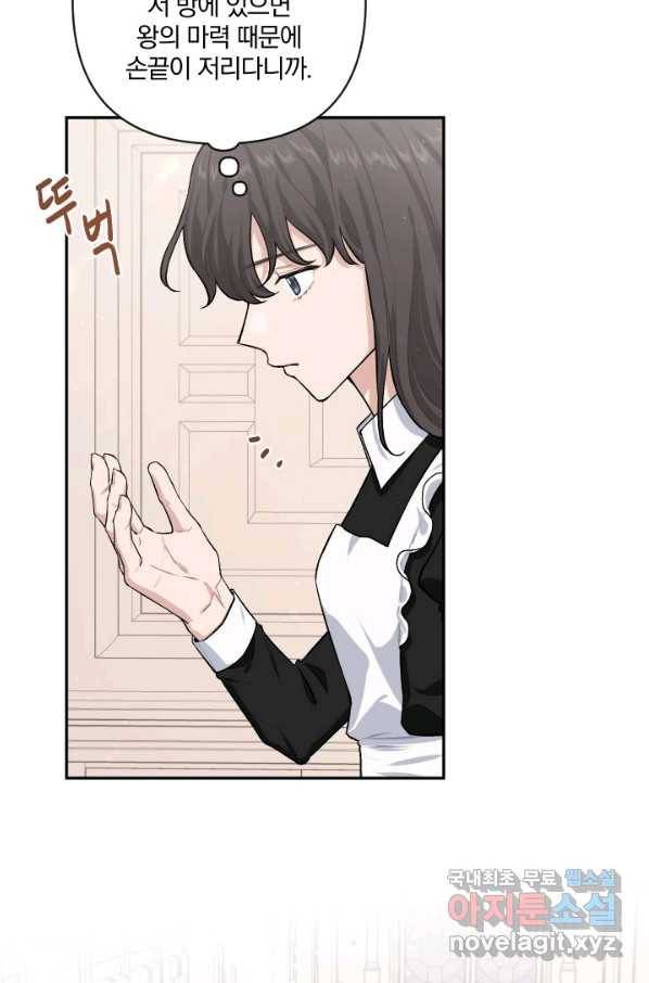 TL 소설 속 시녀가 되었습니다 71화 47