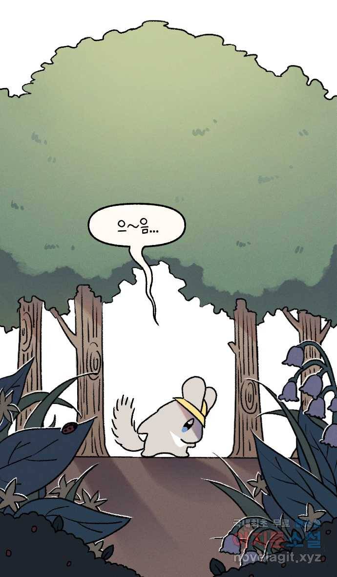 안녕, 나의 수집 00. 안녕 나의 수집 1