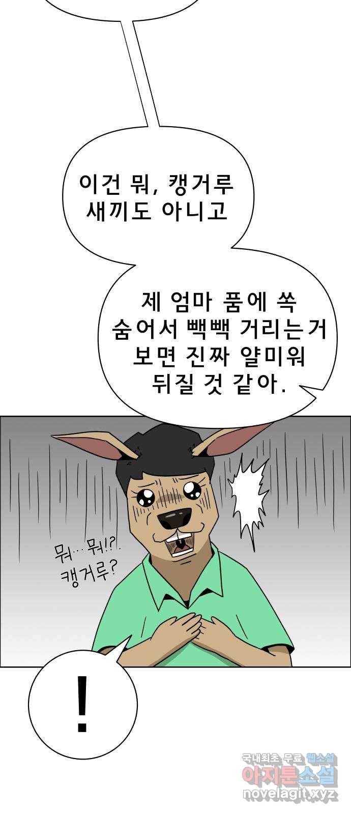 사이다걸 002 : 캥거루(완) 50