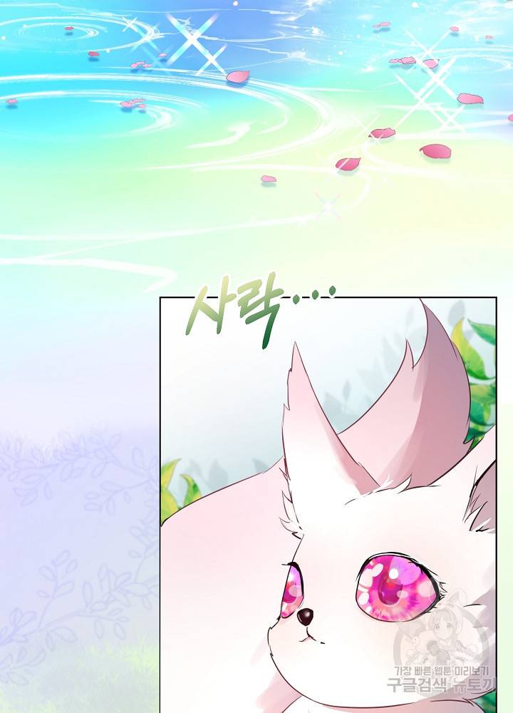 아기 신수로 환생했습니다 프롤로그 4