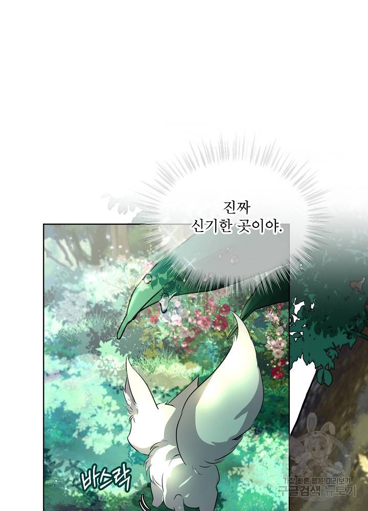 아기 신수로 환생했습니다 프롤로그 8