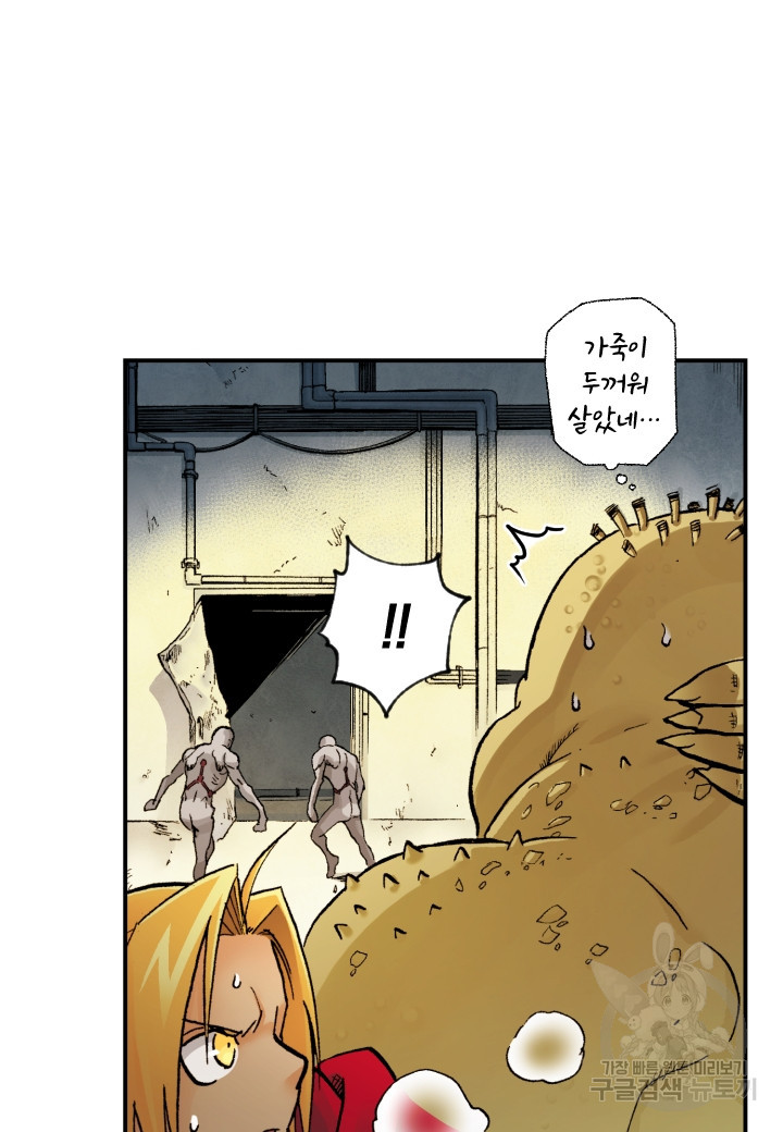 강철의 연금술사  247화 66