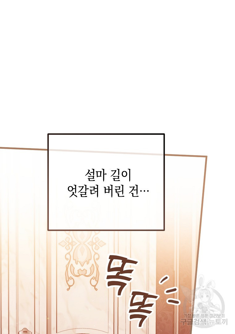 아델린의 깊은 밤 17화 12