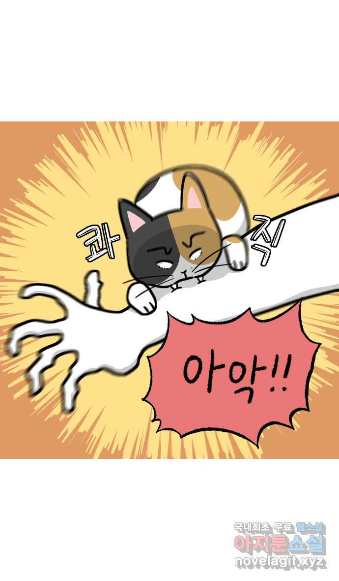 애옹식당 46화 셋이서 통모짜 37
