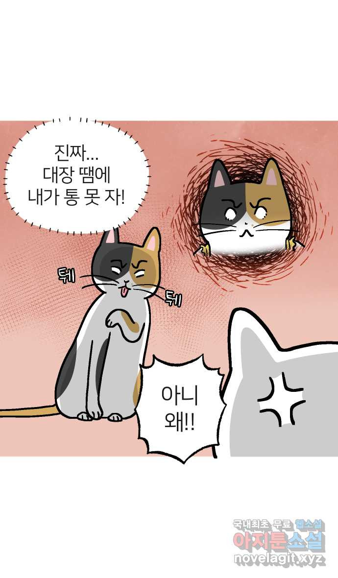 애옹식당 46화 셋이서 통모짜 38