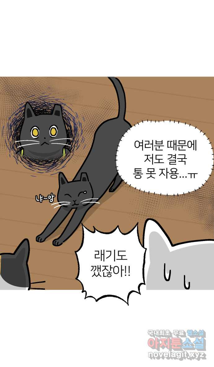 애옹식당 46화 셋이서 통모짜 39