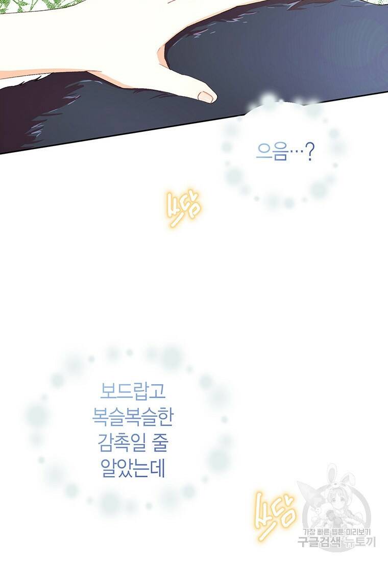 그 남자는 제 친오빠인데요, 공작님 5화 13