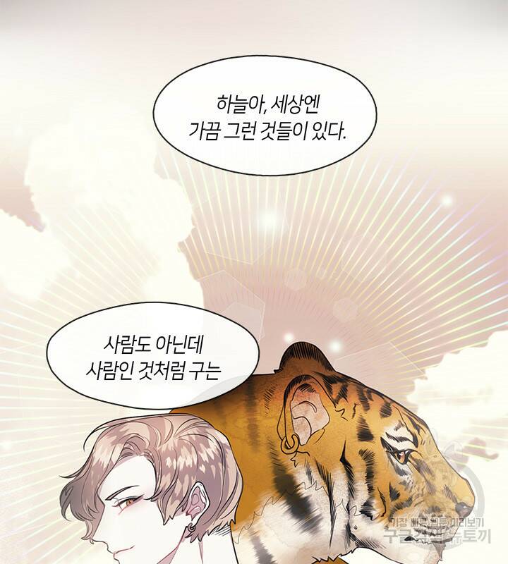 8번째 신부 14화 6